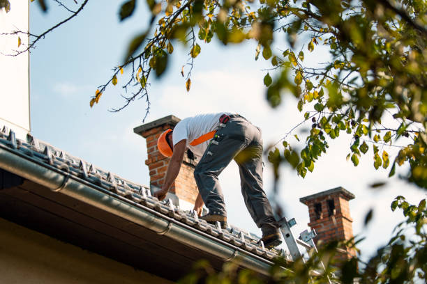 Best Roof Gutter Cleaning  in Roselawn, IN