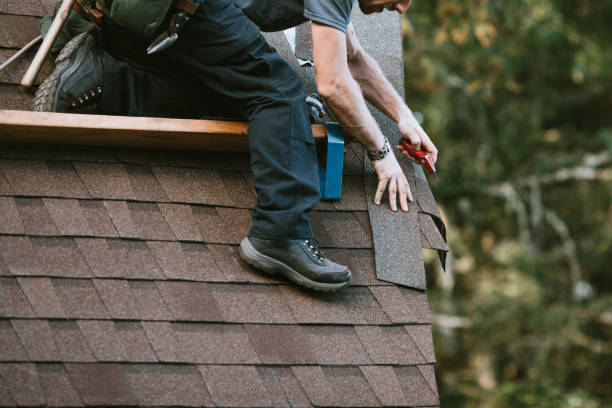 Best Metal Roofing Contractor  in Roselawn, IN